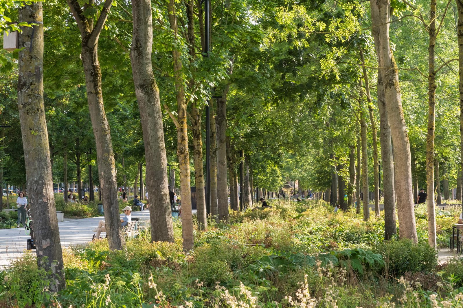 (R)_Reims Promenades_©Martin Argyroglo-655f6e890b4da.jpeg